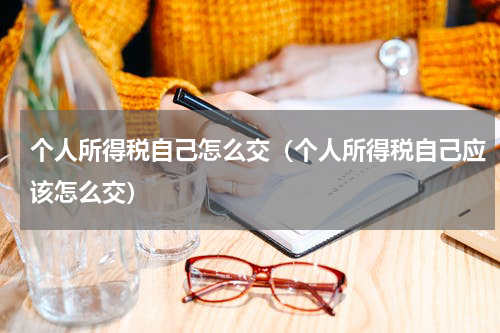 个人所得税自己怎么交（个人所得税自己应该怎么交）