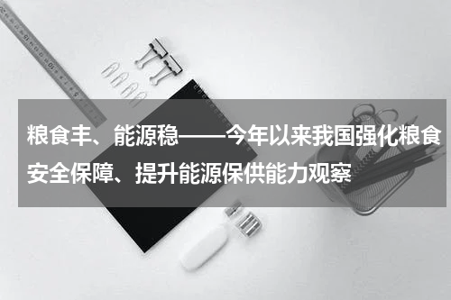 粮食丰、能源稳——今年以来我国强化粮食安全保障、提升能源保供能力观察