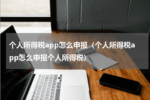 个人所得税app怎么申报（个人所得税app怎么申报个人所得税）