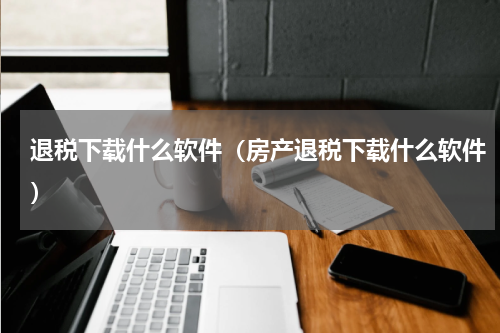 退税下载什么软件(房产退税下载什么软件)