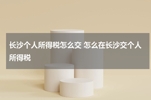 长沙个人所得税怎么交 怎么在长沙交个人所得税