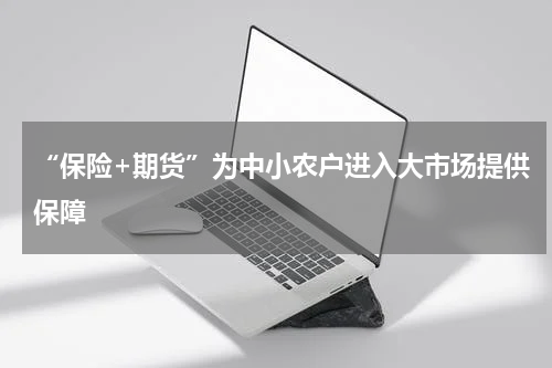 “保险+期货”为中小农户进入大市场提供保障