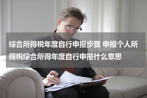 综合所得税年度自行申报步骤 申报个人所得税综合所得年度自行申报什么意思