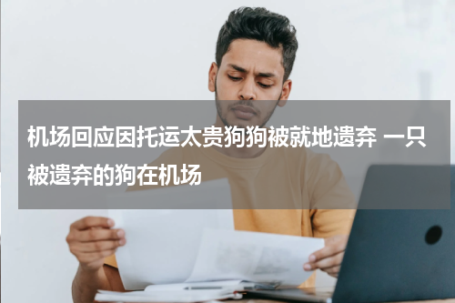 机场回应因托运太贵狗狗被就地遗弃 一只被遗弃的狗在机场