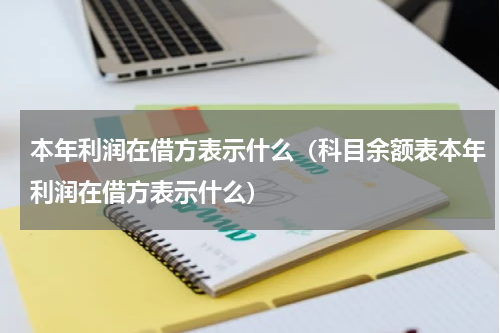 本年利润在借方表示什么（科目余额表本年利润在借方表示什么）