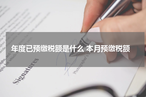 年度已预缴税额是什么 本月预缴税额