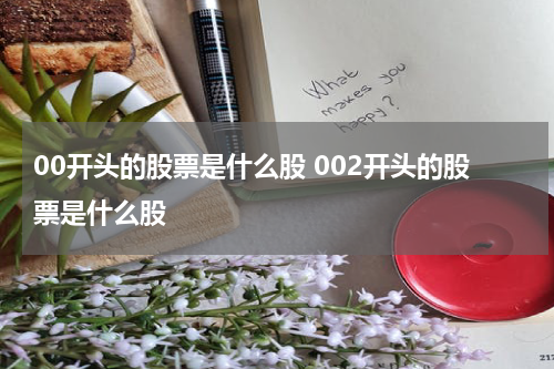 00开头的股票是什么股 002开头的股票是什么股