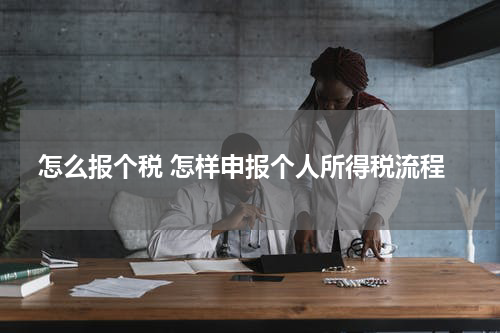怎么报个税 怎样申报个人所得税流程