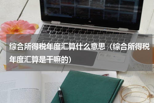 综合所得税年度汇算什么意思(综合所得税年度汇算是干嘛的)