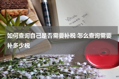 如何查询自己是否需要补税 怎么查询需要补多少税