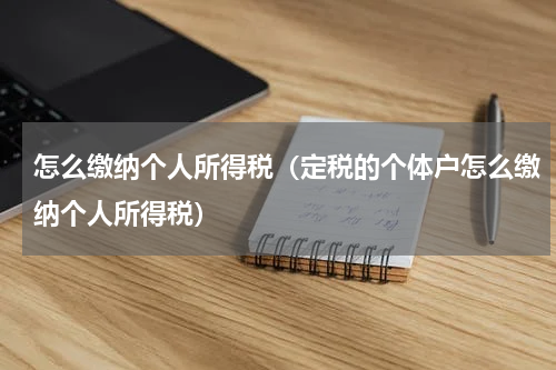 怎么缴纳个人所得税(定税的个体户怎么缴纳个人所得税)