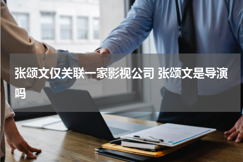 张颂文仅关联一家影视公司 张颂文是导演吗