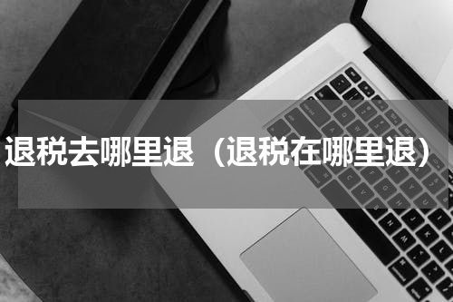 退税去哪里退（退税在哪里退）
