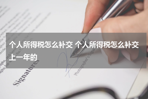 个人所得税怎么补交 个人所得税怎么补交上一年的