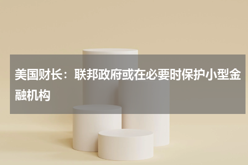 美国财长：联邦政府或在必要时保护小型金融机构