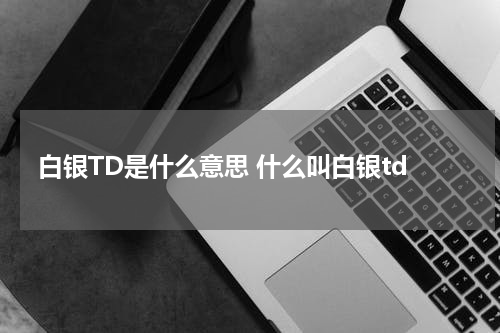 白银TD是什么意思 什么叫白银td