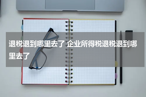 退税退到哪里去了 企业所得税退税退到哪里去了
