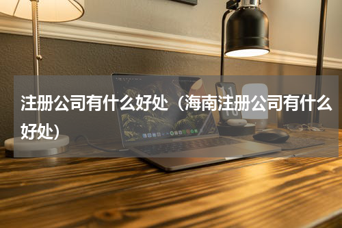 注册公司有什么好处(海南注册公司有什么好处)
