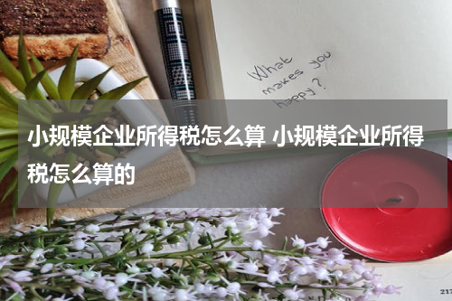 小规模企业所得税怎么算 小规模企业所得税怎么算的