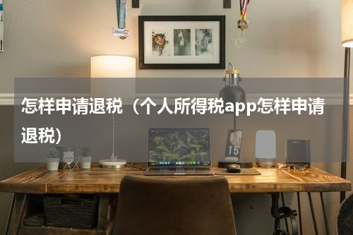 怎样申请退税（个人所得税app怎样申请退税）