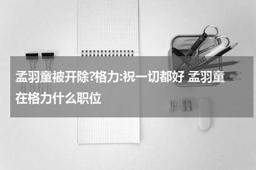 孟羽童被开除?格力:祝一切都好 孟羽童在格力什么职位