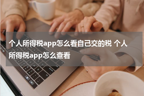 个人所得税app怎么看自己交的税 个人所得税app怎么查看