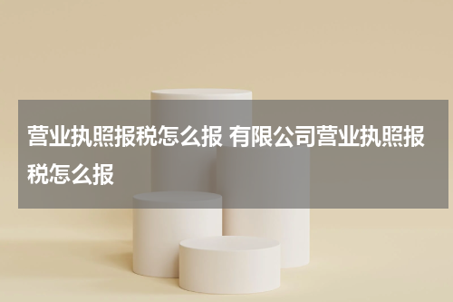 营业执照报税怎么报 有限公司营业执照报税怎么报