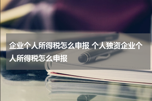 企业个人所得税怎么申报 个人独资企业个人所得税怎么申报