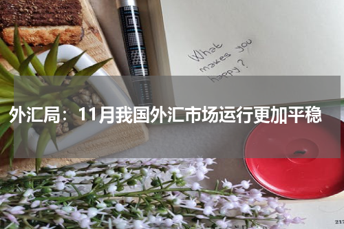 外汇局：11月我国外汇市场运行更加平稳