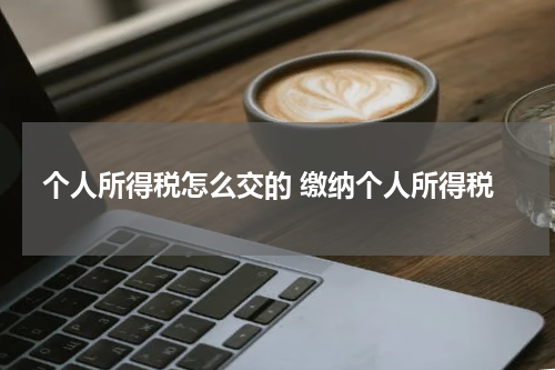 个人所得税怎么交的 缴纳个人所得税