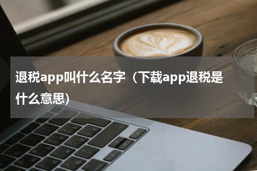 退税app叫什么名字（下载app退税是什么意思）