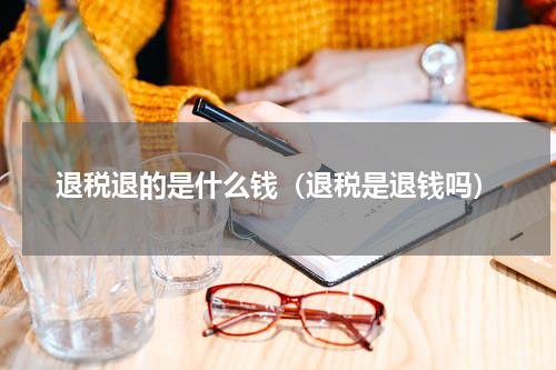 退税退的是什么钱（退税是退钱吗）