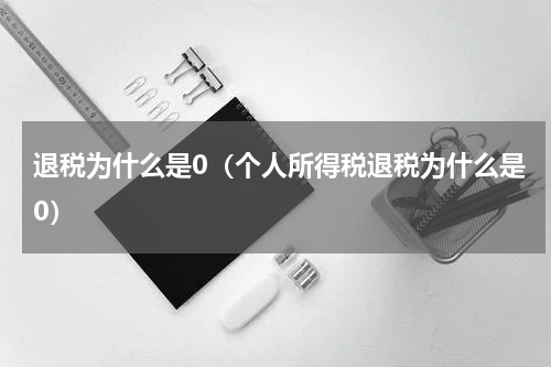 退税为什么是0（个人所得税退税为什么是0）