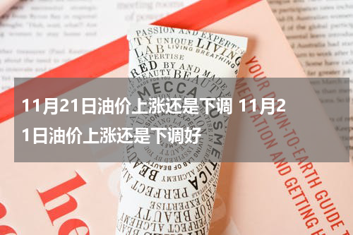 11月21日油价上涨还是下调 11月21日油价上涨还是下调好