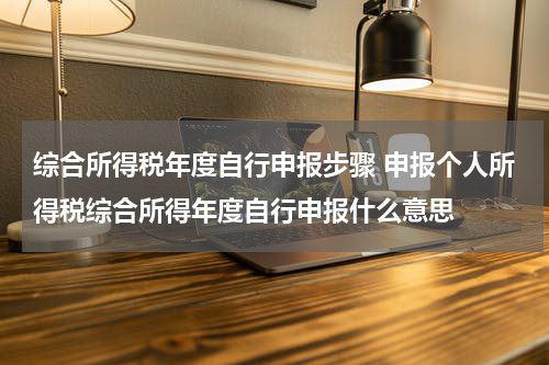 综合所得税年度自行申报步骤 申报个人所得税综合所得年度自行申报什么意思