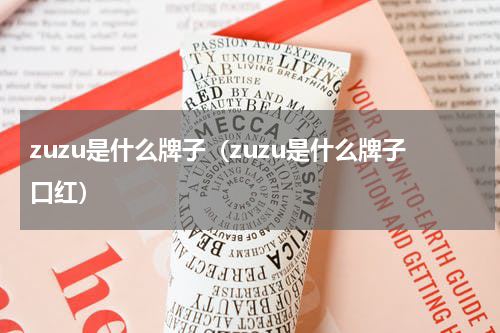 zuzu是什么牌子（zuzu是什么牌子口红）