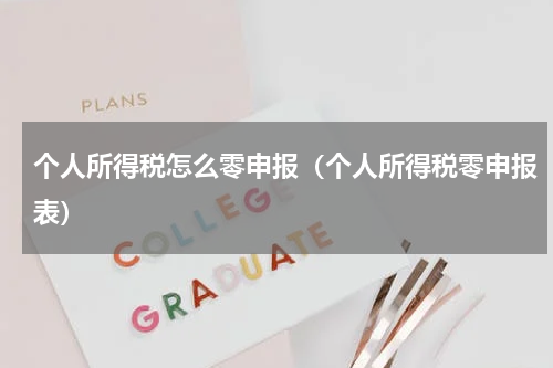 个人所得税怎么零申报（个人所得税零申报表）