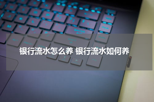 银行流水怎么养 银行流水如何养