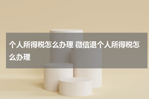 个人所得税怎么办理 微信退个人所得税怎么办理
