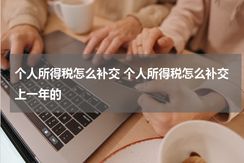 个人所得税怎么补交 个人所得税怎么补交上一年的