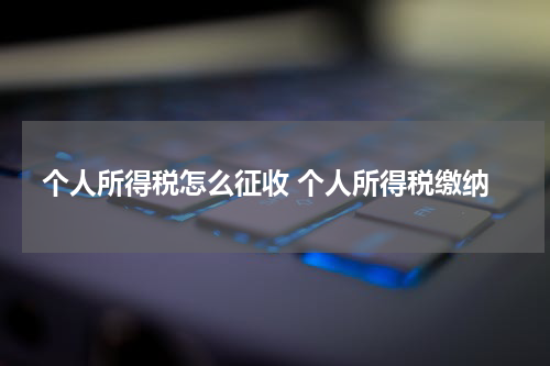 个人所得税怎么征收 个人所得税缴纳