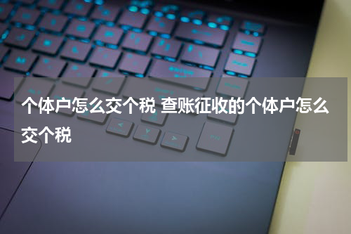 个体户怎么交个税 查账征收的个体户怎么交个税
