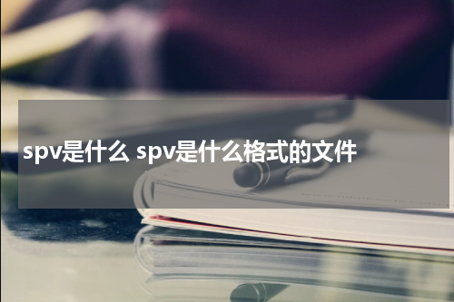 spv是什么 spv是什么格式的文件