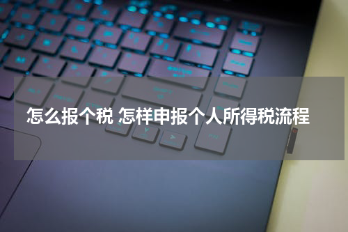 怎么报个税 怎样申报个人所得税流程