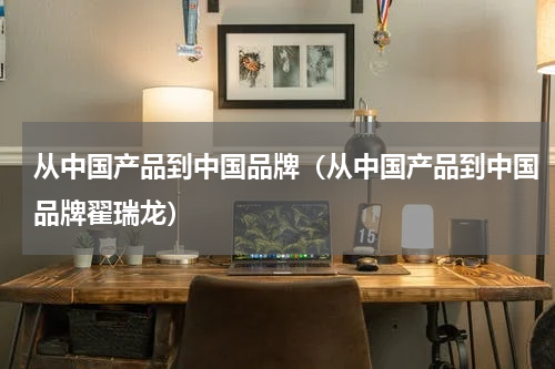 从中国产品到中国品牌（从中国产品到中国品牌翟瑞龙）
