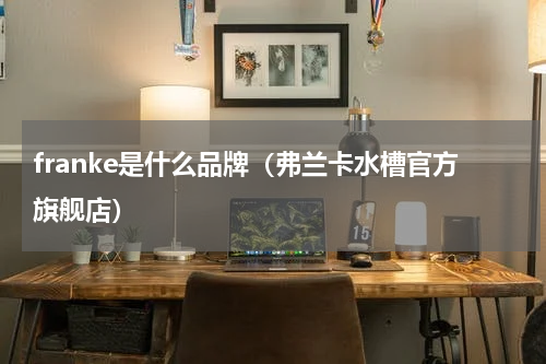 franke是什么品牌（弗兰卡水槽官方旗舰店）