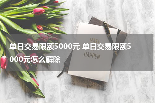 单日交易限额5000元 单日交易限额5000元怎么解除