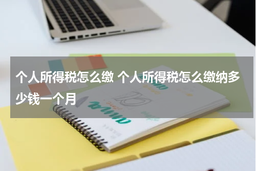 个人所得税怎么缴 个人所得税怎么缴纳多少钱一个月
