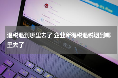 退税退到哪里去了 企业所得税退税退到哪里去了