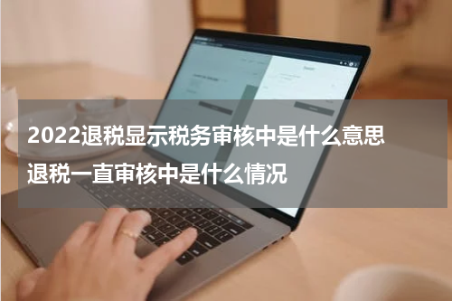 2022退税显示税务审核中是什么意思 退税一直审核中是什么情况